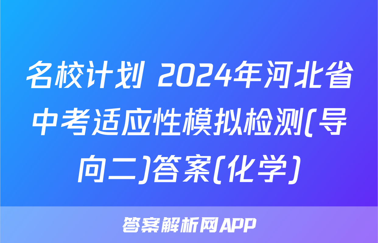 名校计划 2024年河北省中考适应性模拟检测(导向二)答案(化学)