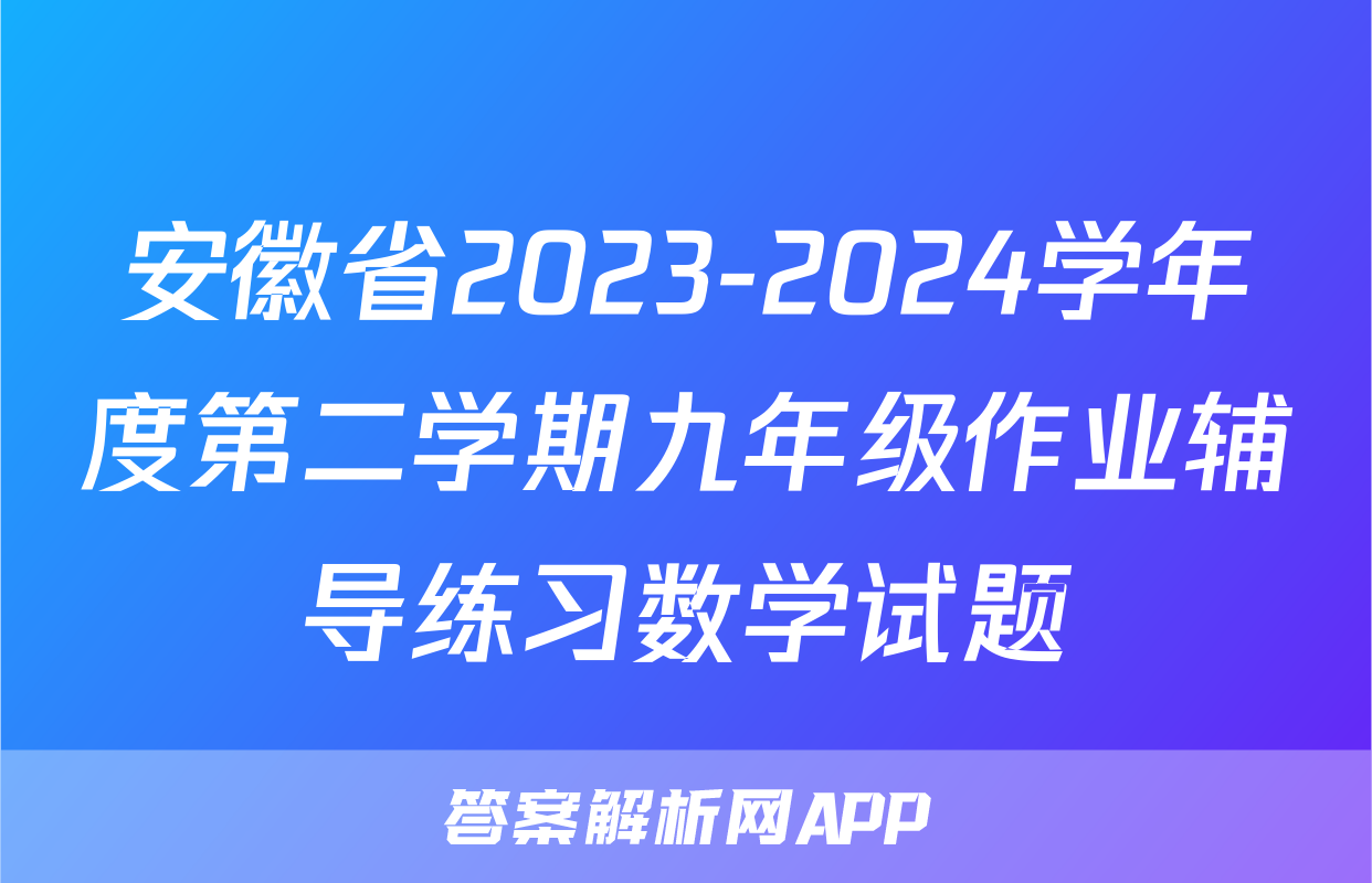 安徽省2023-2024学年度第二学期九年级作业辅导练习数学试题