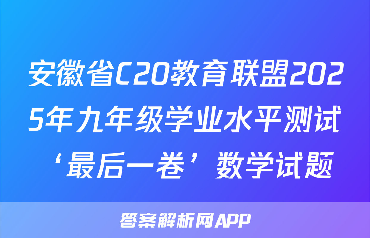 安徽省C20教育联盟2025年九年级学业水平测试‘最后一卷’数学试题