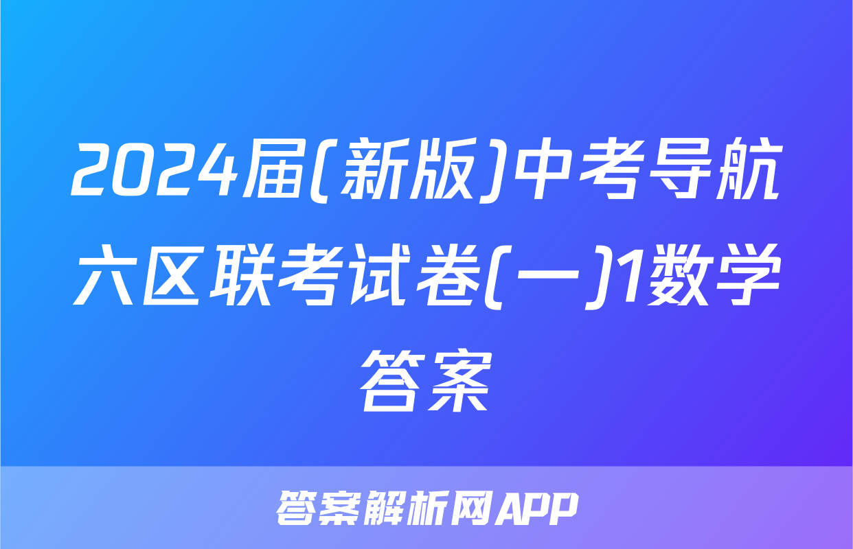 2024届(新版)中考导航六区联考试卷(一)1数学答案