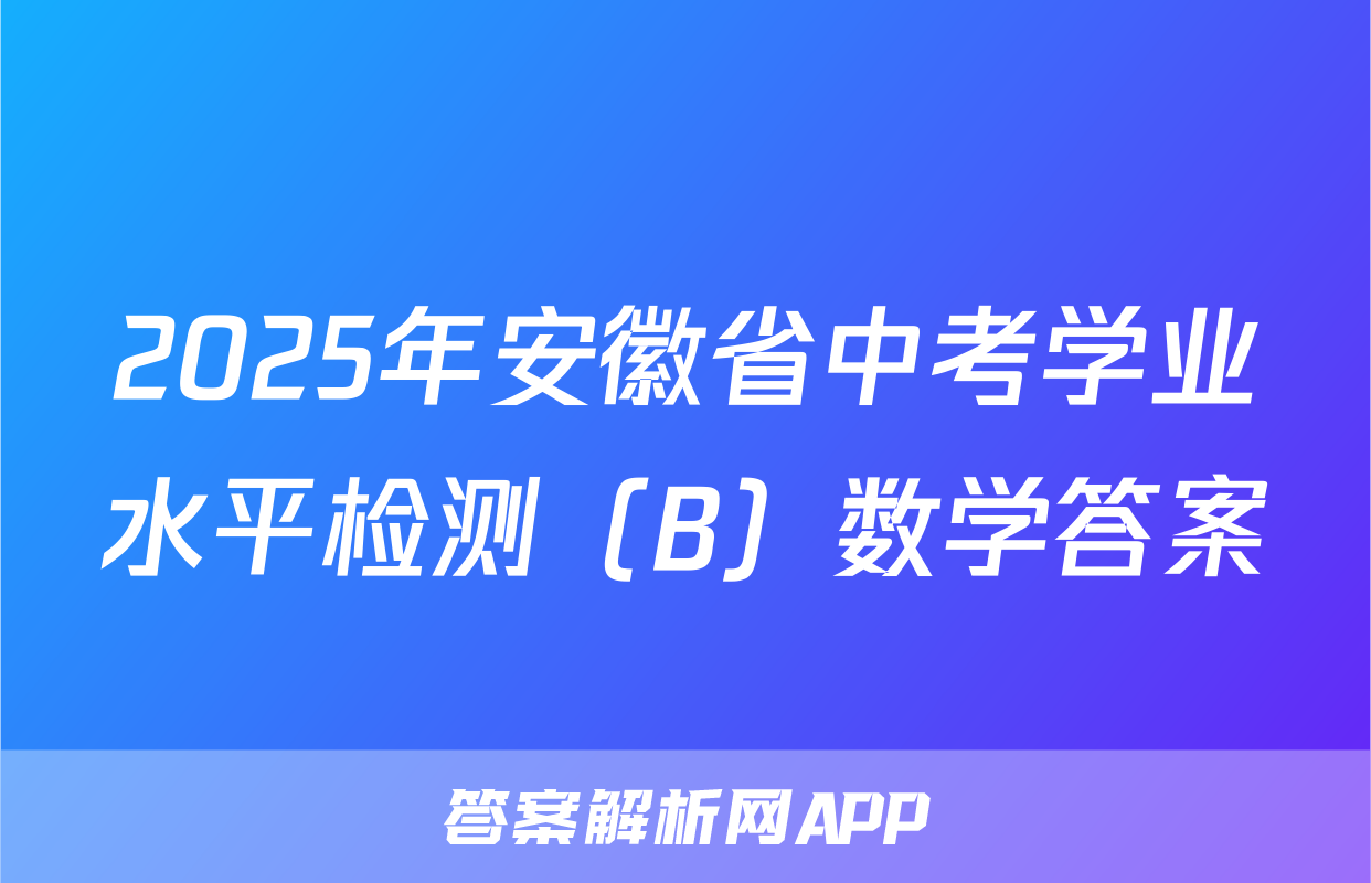 2025年安徽省中考学业水平检测（B）数学答案