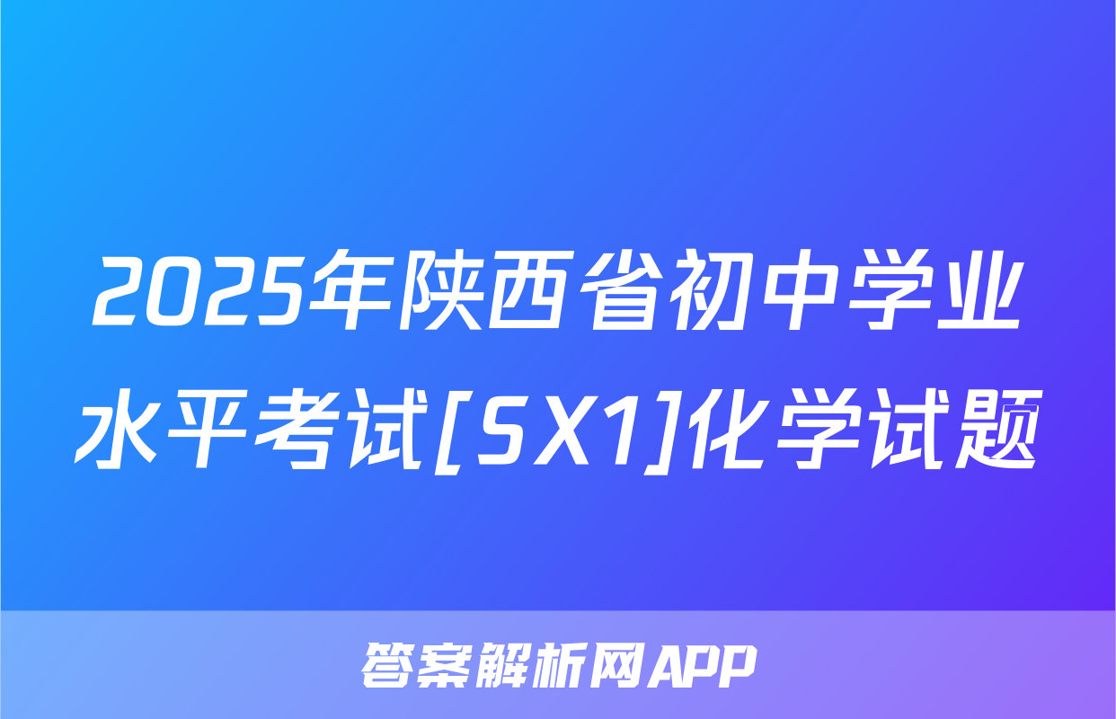 2025年陕西省初中学业水平考试[SX1]化学试题